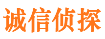 凤山寻人公司